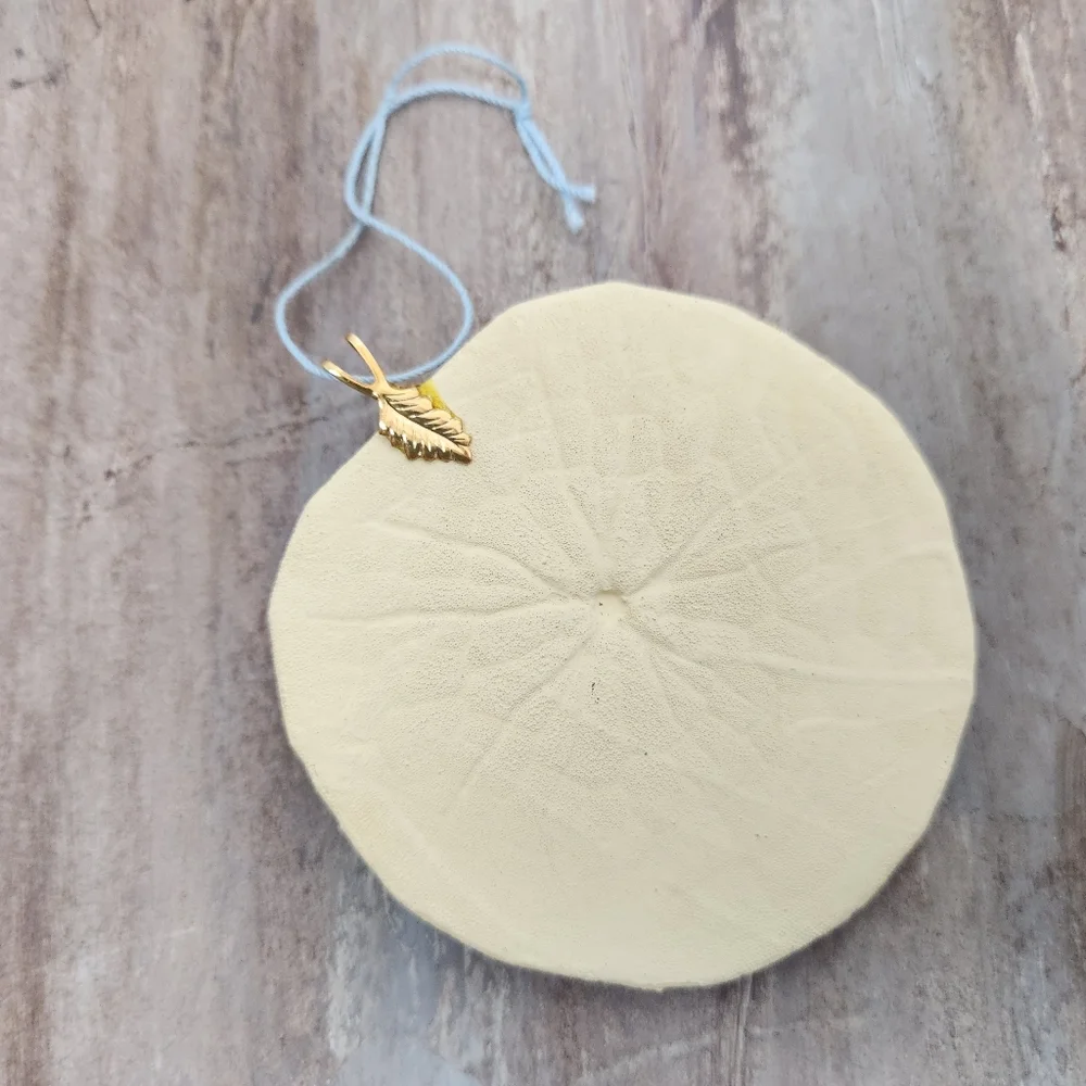 Beautiful Sand Dollar Dragonfly Hand Painted Hanging Ornament Christmas Gloss